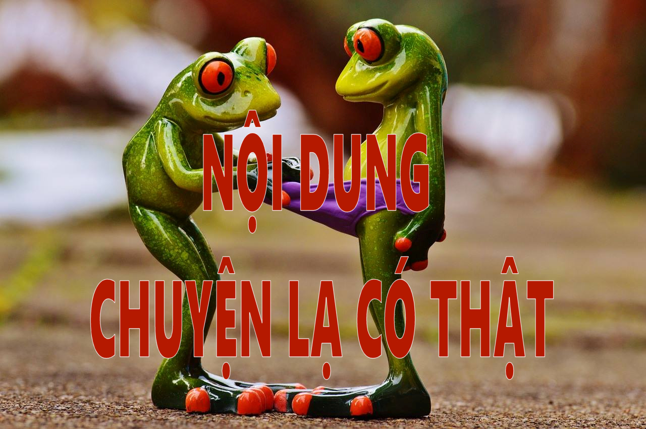 NỘI DUNG  CHUYỆN LẠ CÓ THẬT